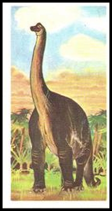 12 Brachiosaurus